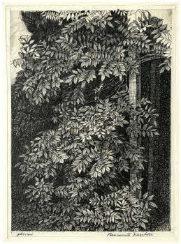 Visualizza l'immagine "FD D 449"